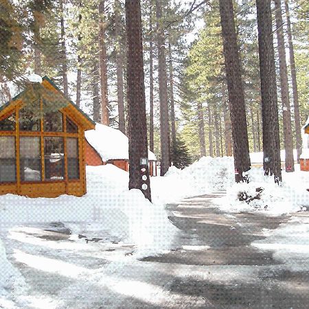 Cedar Pines Resort South Lake Tahoe Exteriér fotografie