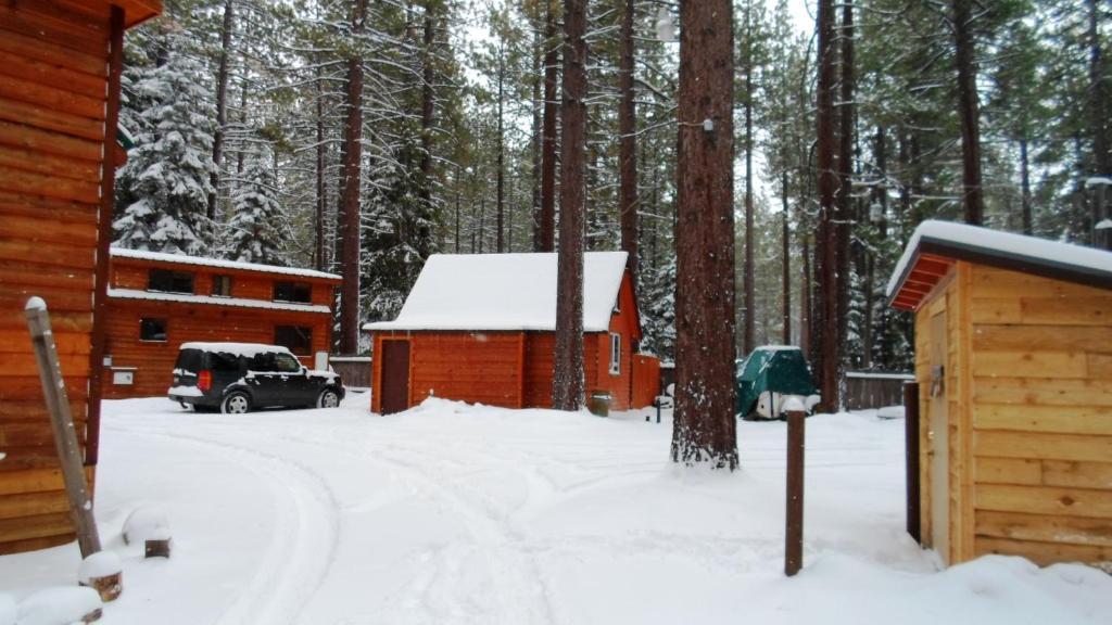 Cedar Pines Resort South Lake Tahoe Exteriér fotografie